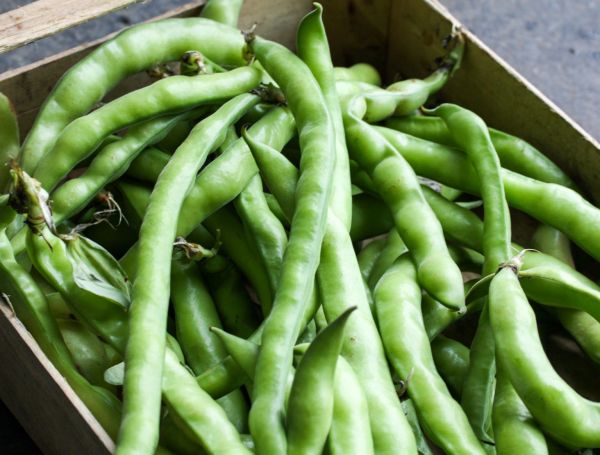 tuinbonen Tuinbonen ravioli