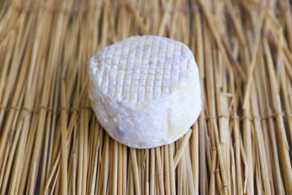 fransje licht fransje