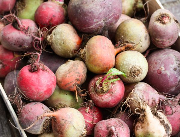 Bietenmix 1 Bietenmix